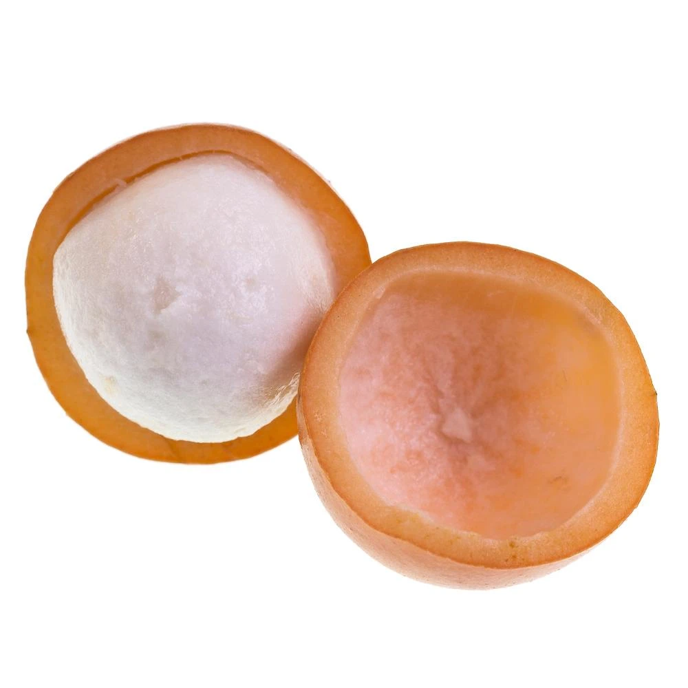 Achacha Fruit Tree 3 Achacha Fruit Tree - Image 3