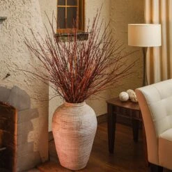 Arctic Fire® Red Twig Dogwood -Flourish Garden Arctic Fire Twig Dogwood 6 FGT