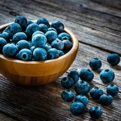 Aurora Blueberry Bush - USDA Organic -Flourish Garden Aurora Blueberry 4 dc5a7e17 d7e4 4799 b1b9 177f422f6847