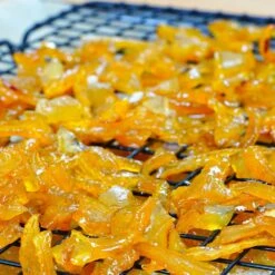 Buddha's Hand Citron -Flourish Garden BUddhas Hand Citrus 5