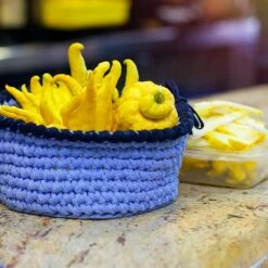 Buddha's Hand Citron -Flourish Garden BUddhas Hand Citrus 6 FGT