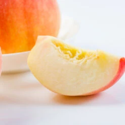 Belle Of Georgia Peach Tree 7 Belle Of Georgia Peach Tree -Flourish Garden Belle of Georgia 3 ea75db8c 1c8e 47c4 9aac 3f7fe043655e