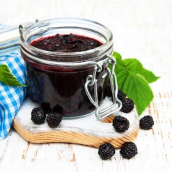 Big Daddy Blackberry Bush -Flourish Garden Big Daddy Blackberry 3