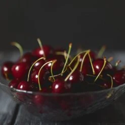 Black Tartarian Cherry Tree 8 Black Tartarian Cherry Tree -Flourish Garden Black Tartarian Cherry Tree 2 FGT