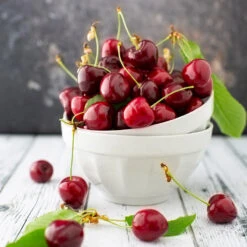 Brooks Cherry Tree 7 Brooks Cherry Tree -Flourish Garden Brooks Cherry Tree 5 FGT