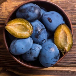 Brooks Plum Tree -Flourish Garden Brooks Plum 2