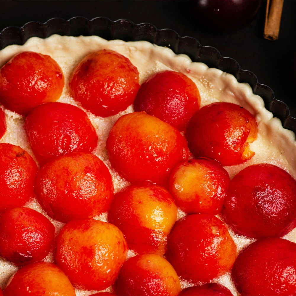 Bubblegum 'Toka' Plum Tree 5 Bubblegum 'Toka' Plum Tree - Image 5