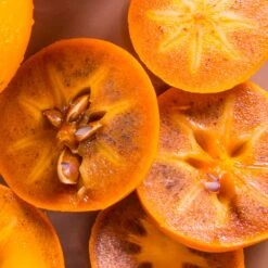 Chocolate Persimmon Tree -Flourish Garden CHocolate Persimmon 2