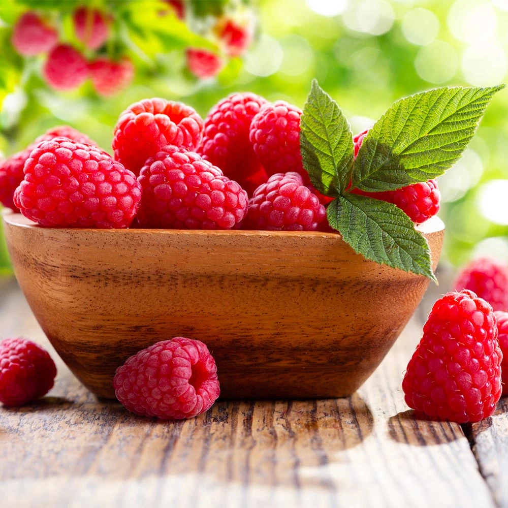 Caroline Raspberry - USDA Organic 3 Caroline Raspberry - USDA Organic - Image 3