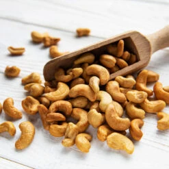 Cashew Tree -Flourish Garden Cashew Nut Tree 5