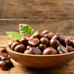 Chinese Chestnut Tree 9 Chinese Chestnut Tree -Flourish Garden Chinese Chestnut 3 FGT