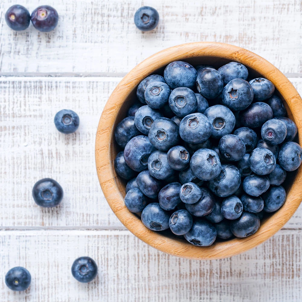 Climax Blueberry - USDA Organic 5 Climax Blueberry - USDA Organic - Image 5