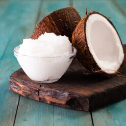 Coconut Palm Tree -Flourish Garden Coconut Palm 3 FGT