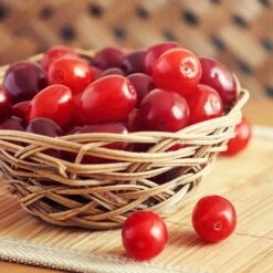 Cornelian Cherry Dogwood Tree 10 Cornelian Cherry Dogwood Tree -Flourish Garden Cornelian Cherry Dogwood 1 FGT