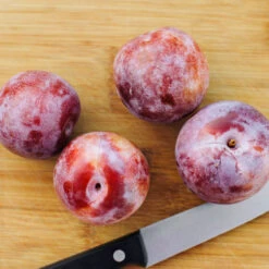 Dapple Dandy Pluot Tree -Flourish Garden Dapple Dandy 2