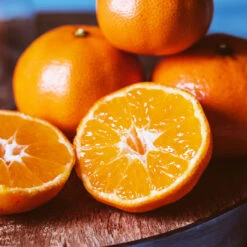 EasyPeel Clementine Tree -Flourish Garden Easy Peel Clementine 4 FGT