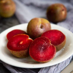 Elephant Heart Plum Tree -Flourish Garden Elephant Heart Plum 1