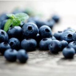 Elliot Blueberry Bush 7 Elliot Blueberry Bush -Flourish Garden Elliot Blueberry 450 D2