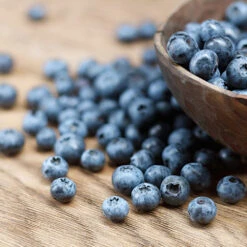 Emerald Blueberry Bush 5 Emerald Blueberry Bush -Flourish Garden Emerald Blueberries 1