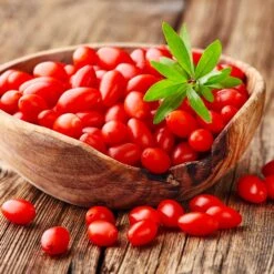 Goji Berry -Flourish Garden Goji Berry 4
