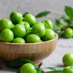 Green Gage Plum 9 Green Gage Plum -Flourish Garden Green Gage Plum 2