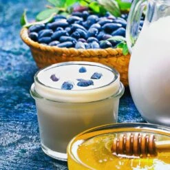 Indigo Gem Haskap (Honeyberry) 7 Indigo Gem Haskap (Honeyberry) -Flourish Garden Indigo GEm Haskap 1