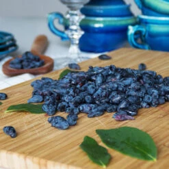 Indigo Treat Haskap (Honeyberry) 6 Indigo Treat Haskap (Honeyberry) -Flourish Garden Indigo Treat Hascap 2 BB