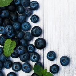 Jewel Blueberry Bush 5 Jewel Blueberry Bush -Flourish Garden Jewel Blueberry 2