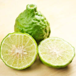 Kaffer 'Kieffer' Lime Tree -Flourish Garden Kaffir Lime 7 FGT