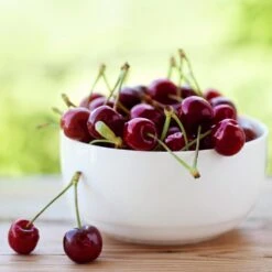 Lapins Cherry Tree 6 Lapins Cherry Tree -Flourish Garden Lapins Cherry Tree 2 FGT 325a18e6 7143 4729 a41b b0d9614909b8