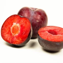 Methley Plum Tree -Flourish Garden Methley Plum 3 6230ed7a 5c4e 4b03 88d0 ad8f75f62363