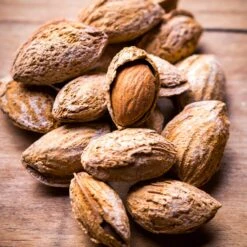 Nonpareil Almond Tree -Flourish Garden Nonpareil Almonds 3