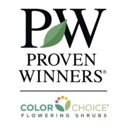 Bobo® Hydrangea Shrub 11 Bobo® Hydrangea Shrub -Flourish Garden PW Logo CC 1000x1000 55dac6d7 bd17 4a95 bca3 c243520b7d2c