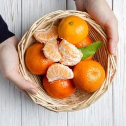 Page Mandarin Tree -Flourish Garden Page Mandarin Tree 2 FGT