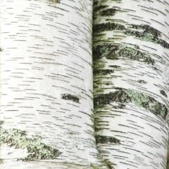 White Birch Tree -Flourish Garden Paper White Birch 2