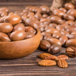 Pawnee Pecan Tree -Flourish Garden Pawnee Pecan 4 FGT