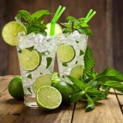 Persian 'Bearss' Lime Tree - USDA Organic 10 Persian 'Bearss' Lime Tree - USDA Organic -Flourish Garden Persian Lime Tree 4 FGT 3e2376b1 dd45 4777 a1e5 8c0e252ea773