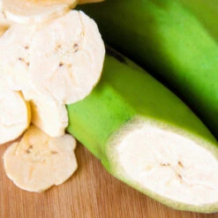 Puerto Rican Plantain Banana Tree 10 Puerto Rican Plantain Banana Tree -Flourish Garden Puerto Rican Plantain Banana Tree 3