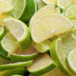 Persian 'Bearss' Lime Bush -Flourish Garden Pursian Lime Bush 1 FGT 8e948345 4f0b 4e96 a96f a17b7b31b7ab