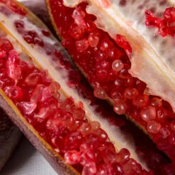 Red Finger Lime Tree -Flourish Garden Red FInger Lime 1 1453b836 c1a1 4844 92f1 11e49d09cc4d