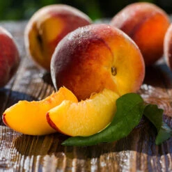 Red Baron Peach Tree -Flourish Garden Red Baron Peach 4