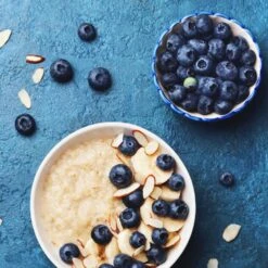 Reveille Blueberry Bush 5 Reveille Blueberry Bush -Flourish Garden Reville Blueberry 2