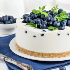 Sunshine Blue Blueberry Bush 7 Sunshine Blue Blueberry Bush -Flourish Garden SUnshine BLue Blueberry 4