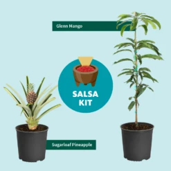 Salsa Kit -Flourish Garden SalsaKitGraphic
