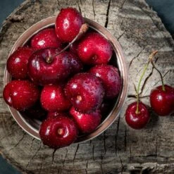 Santina™ Cherry Tree -Flourish Garden Santina Cherry 1