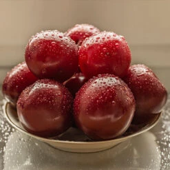 Satsuma Plum Tree 9 Satsuma Plum Tree -Flourish Garden Satsuma Plum 3