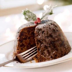 Satsuma Plum Tree 11 Satsuma Plum Tree -Flourish Garden Satsuma Plum 4