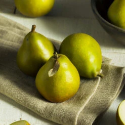 Seckel Pear Tree -Flourish Garden Seckel Pear 5