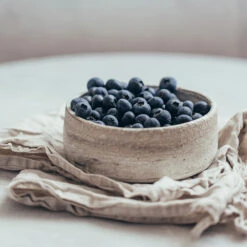 Sharpblue Blueberry Bush 5 Sharpblue Blueberry Bush -Flourish Garden Sharpblue Blueberry 1