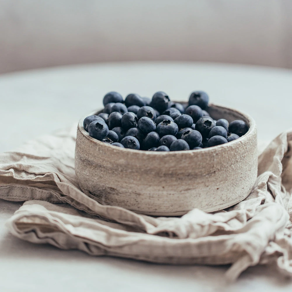 Sharpblue Blueberry Bush 3 Sharpblue Blueberry Bush - Image 3